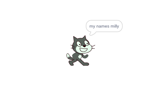 my cat