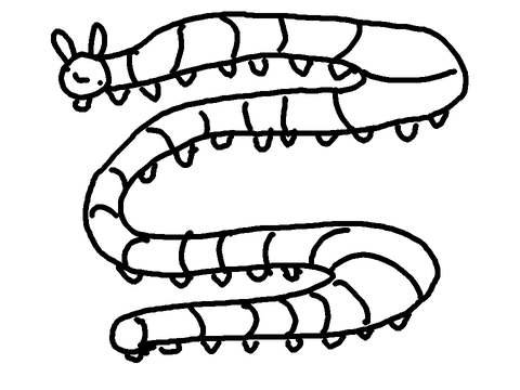 capitillar