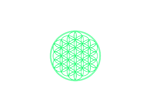 Flower Of Life Generator