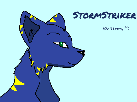 StormStriker