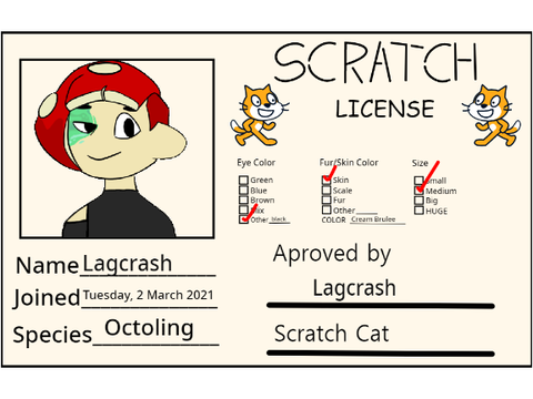 Make Your Own Scratch License remix