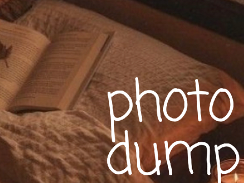 ❍ photo dump - no stealing ´ˎ˗