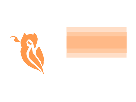 My Logo/Colour