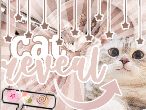 ☂ Kitty reveal 