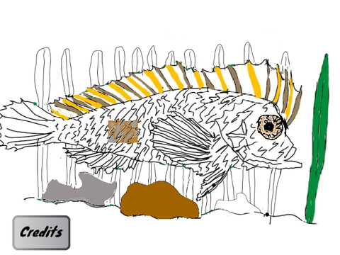 Velvetfish 
