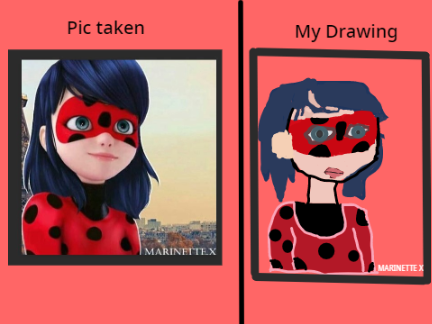 MLB - Drawing of Ladybug 1