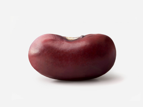 Bean