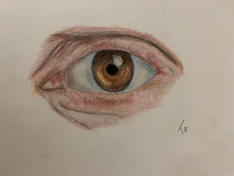 Art Entry