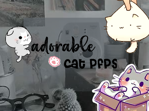 ⇨ adorable cat pfps ❜