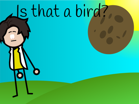 Is That a Bird?
