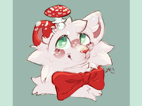 ✧100+ dta entry✧