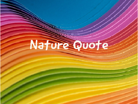 Colors of Nature Quote/Art