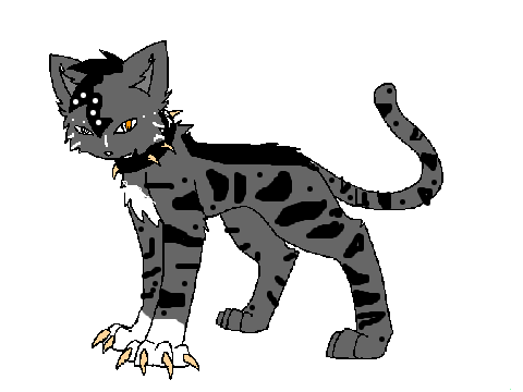 Fizz *CC entry