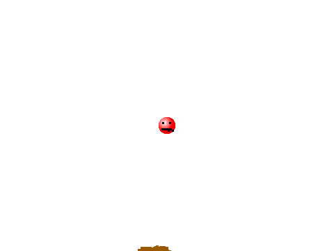 poo