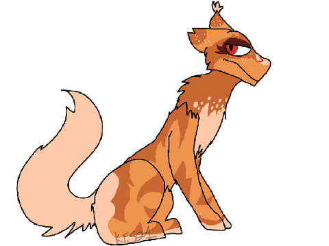 At with Ferret!