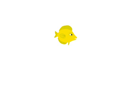 welcome to scratch