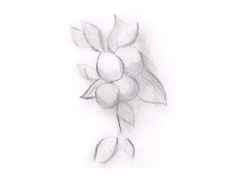 Drawing Contest 2015 *Round 3* 
