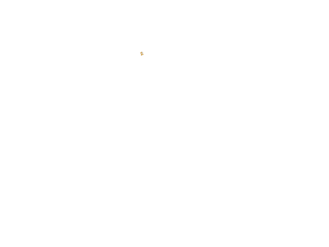 Collatz Conjecture Visualiser 