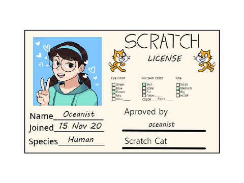 My Scratch License
