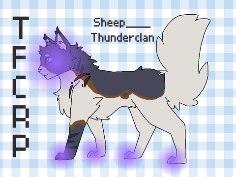 Sheep___ - TFCRP