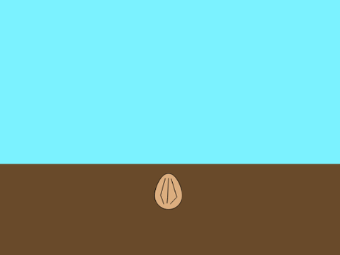 flower growing animation