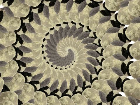 Bird Stuffed Animal Spiral