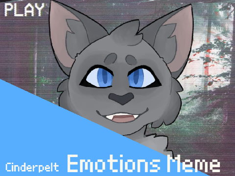 Cinderpelt Emotions Meme // 1 Year Anniversary and 250+ Followers! ^^
