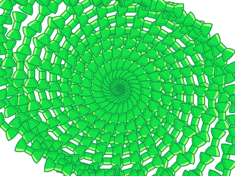 Green Bow Spiral