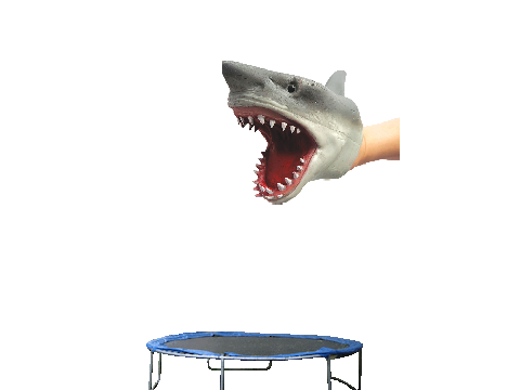 Fixed
