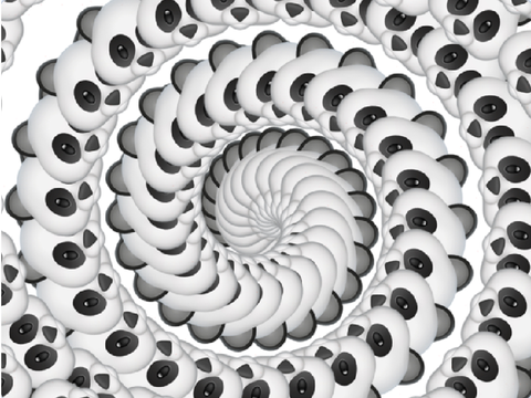Panda Spiral