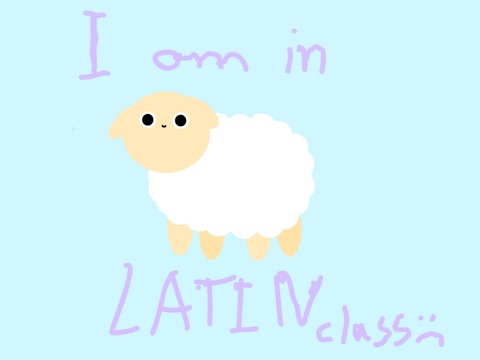 Roman Sheep