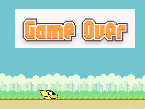 Flappy bird(?)