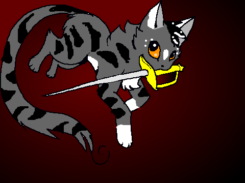 FIZZ!!!!!!!!!!!!!!!!!!