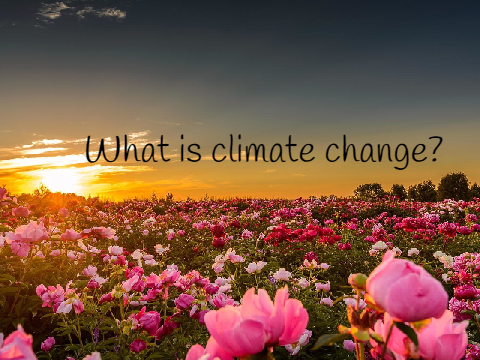 climate change