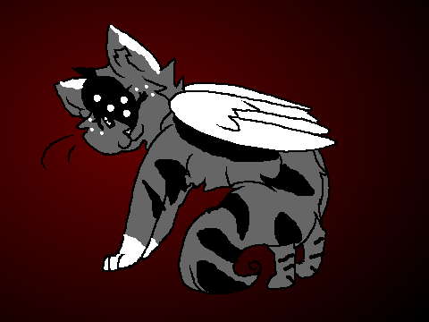Fizz as a winged cat!
