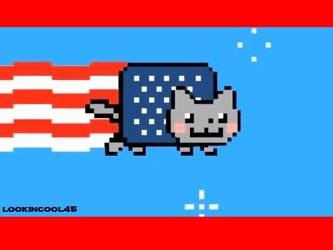 American Nyan Cat