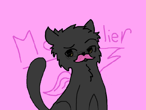 °☆Markiplier Cat☆°