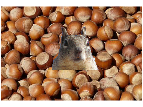 Squirrel klicker 