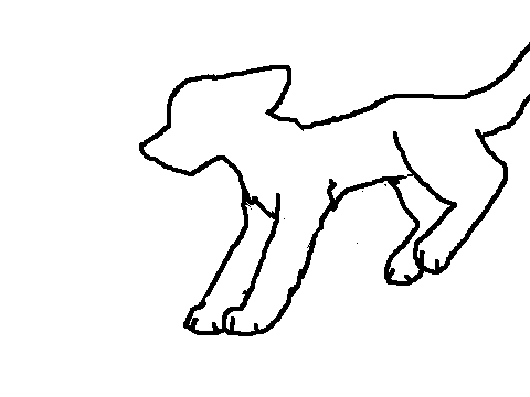 Jumping cat animation