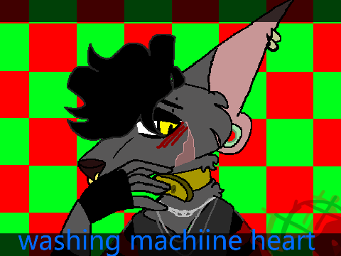 Washing Machine Heart || !Flash Warning!