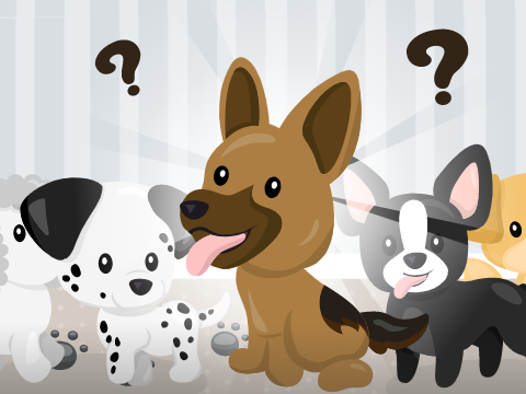 What puppy are you?