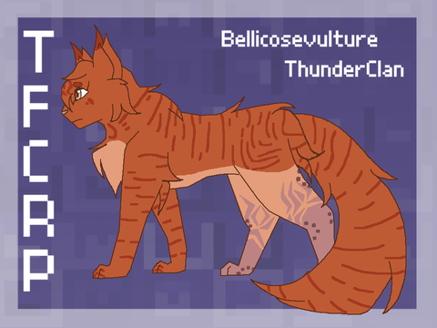 ☽ Bellicosevulture Reference ☽
