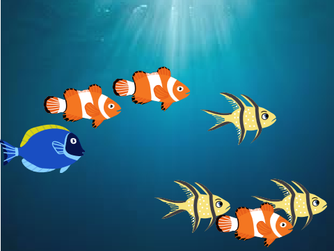 fish tank for relaxation