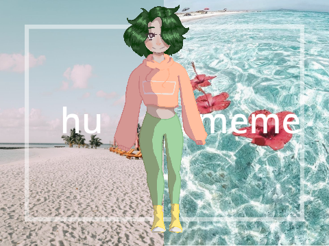 200+ hu-meme