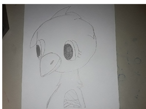 Uncolered bird :)