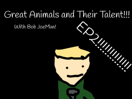 Great Animals And Their Talent! Ep 2