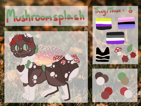 ➼ | mushroomsplash . gwcrp ref