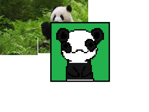 Panda l Licky