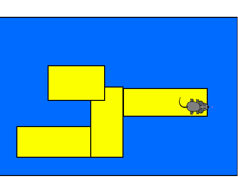 Mouze Maze