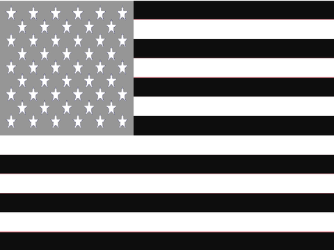 CLASSIC USA EAS ALARM
